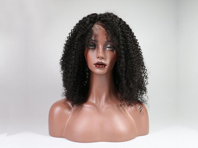 Lace Front Human Hair Wig Afro Kinky Curly - Click Image to Close